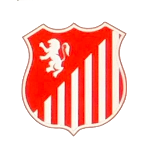 Rotherham Town FC badge