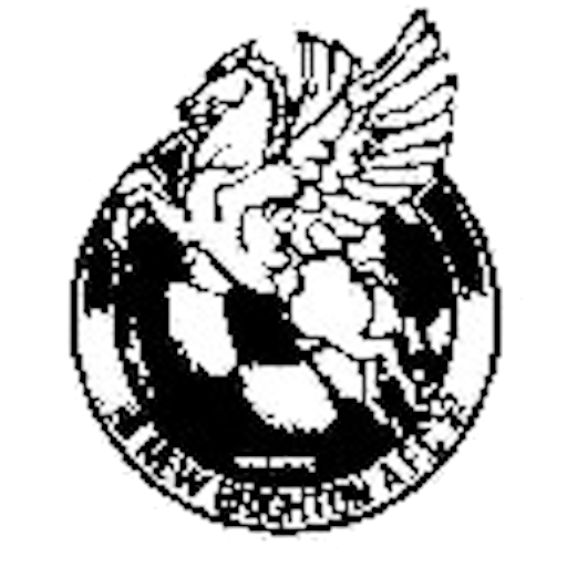 New Brighton AFC badge