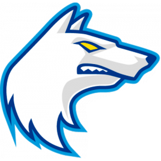 Finland Basketball artwork 1