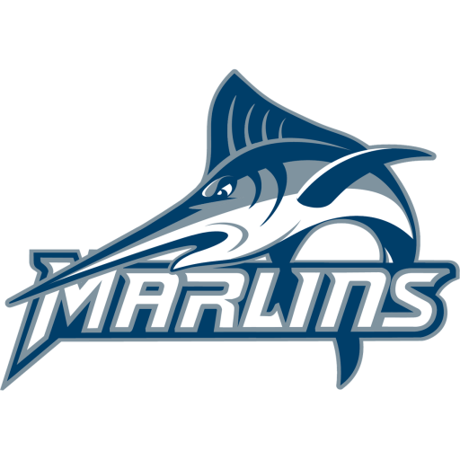 Virginia Wesleyan badge