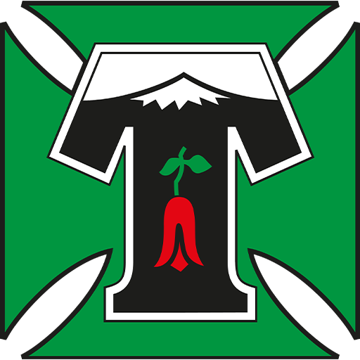 Deportes Temuco badge
