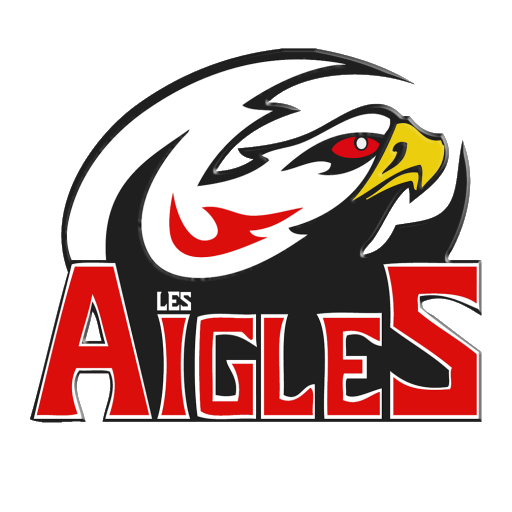Nice Aigles badge