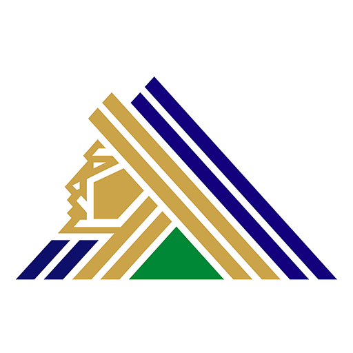 Salavat Yulaev Ufa artwork 1