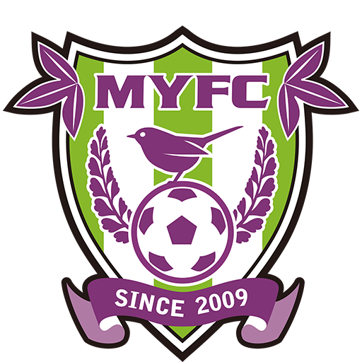Fujieda MYFC artwork 1