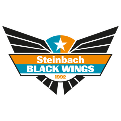 Steinbach Black Wings 1992 badge
