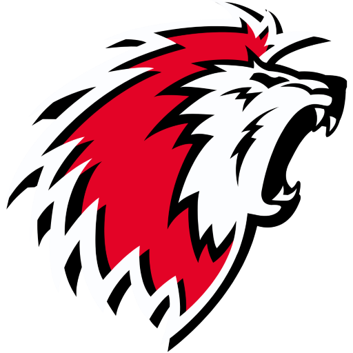 Lausanne HC artwork 1