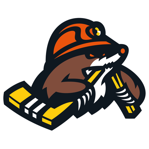 HC Shakhtyor Soligorsk artwork 1