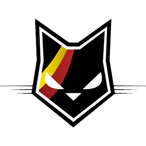 Belgium Basketball Women artwork 1