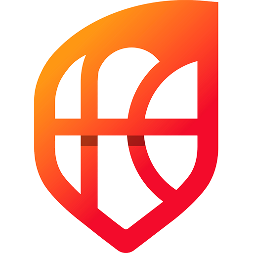 Spain Basketball Women artwork 1