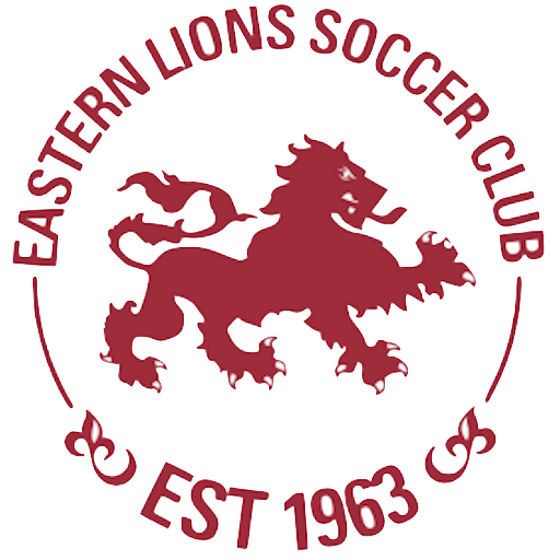 Eastern Lions SC artwork 1