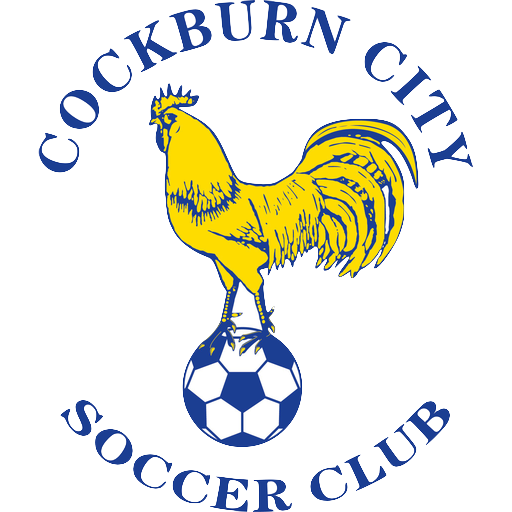 Cockburn City SC artwork 1