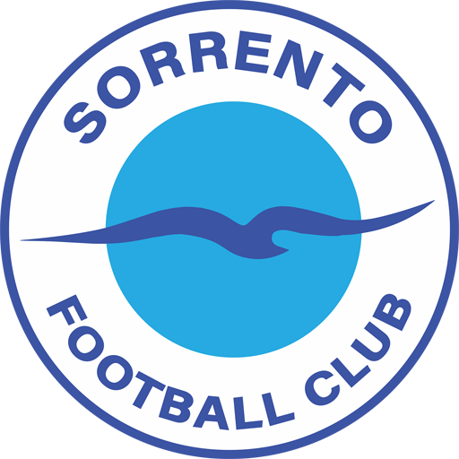 Sorrento FC artwork 1