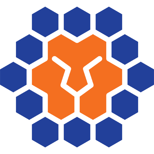 Queensland Lions FC badge