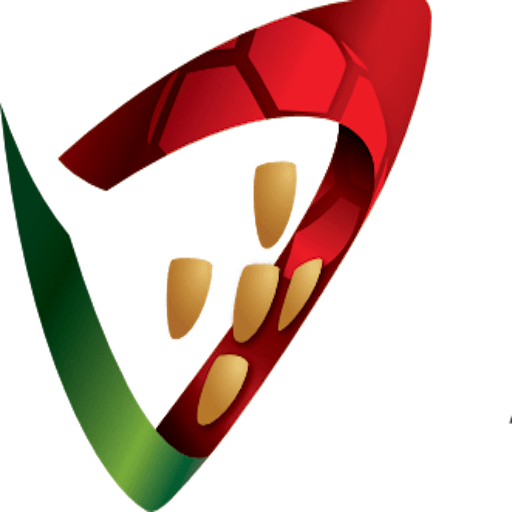 Portugal Handball Women artwork 1