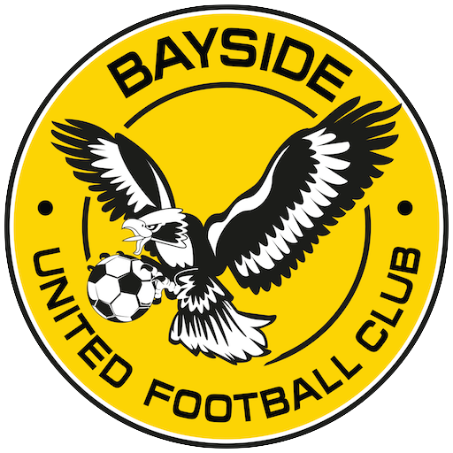 Bayside United FC artwork 1