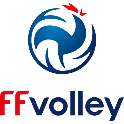 France Volleyball artwork 1