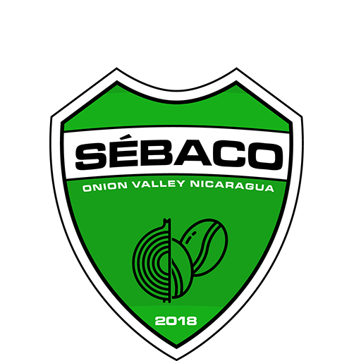 Deportivo Sebaco artwork 1