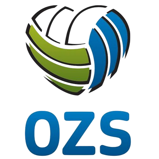 Slovenia Volleyball badge