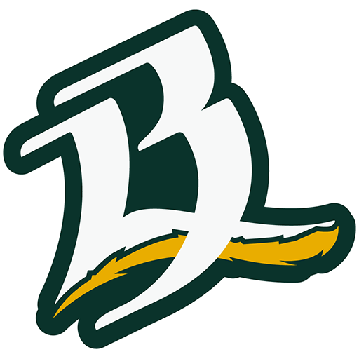 Bravos de León artwork 1