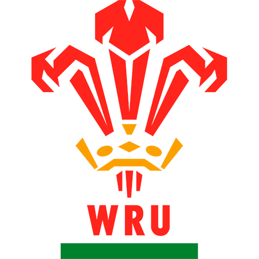 Wales U20 Rugby artwork 1