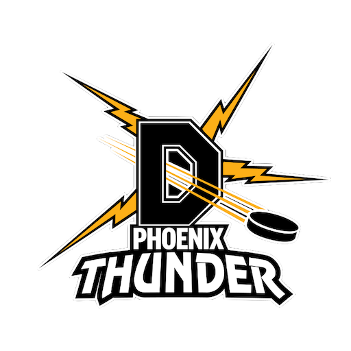 Dunedin Thunder artwork 1