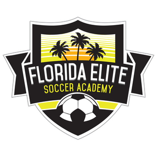 Florida Elite Soccer Academy artwork 1