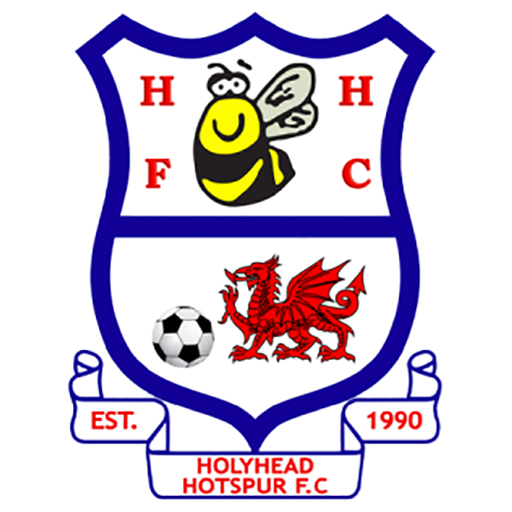 Holyhead Hotspur artwork 1
