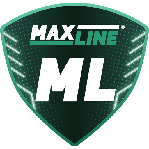 FC Dnepr Rogachev artwork 1