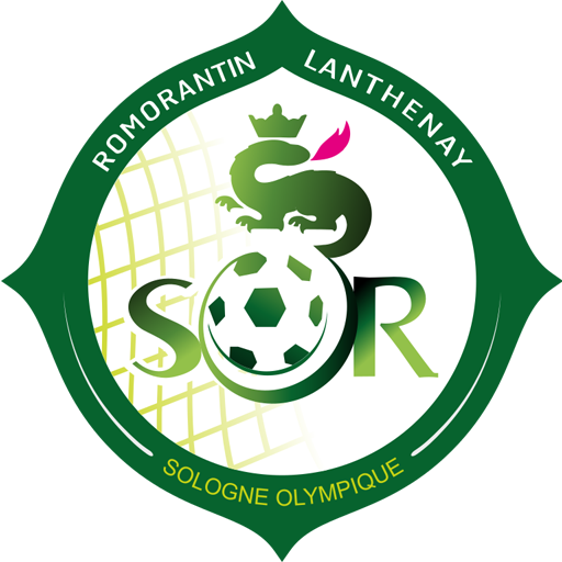 SO Romorantin artwork 1