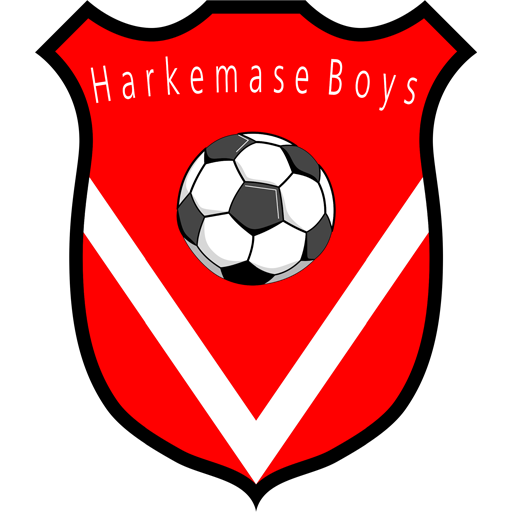 Harkemase Boys artwork 1