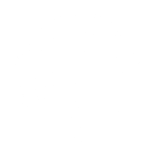 Bjerringbro-Silkeborg Håndbold badge