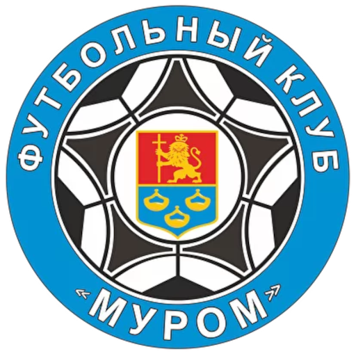 FC Murom artwork 1