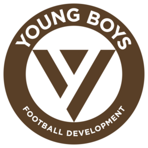 Young Boys FD artwork 1