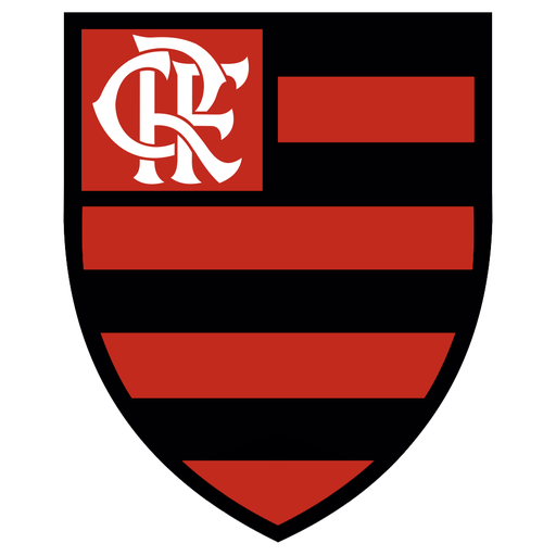 Flamengo Women artwork 1