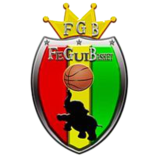 Guinea Basketball badge