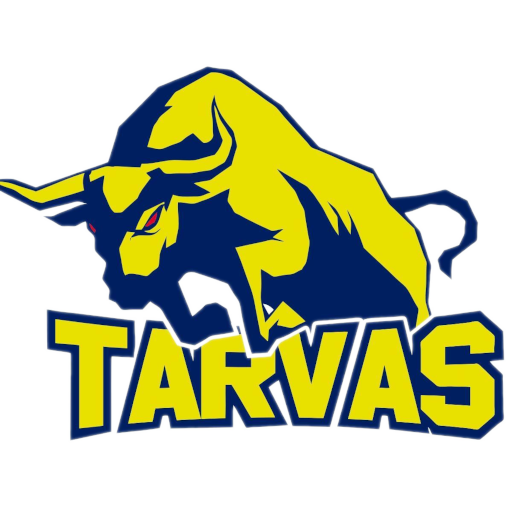 BC Rakvere Tarvas artwork 1