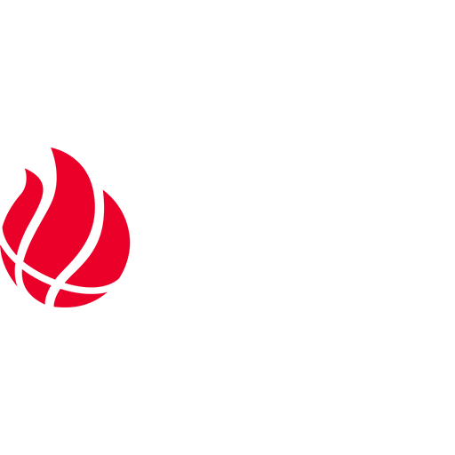 Petkim Spor artwork 1