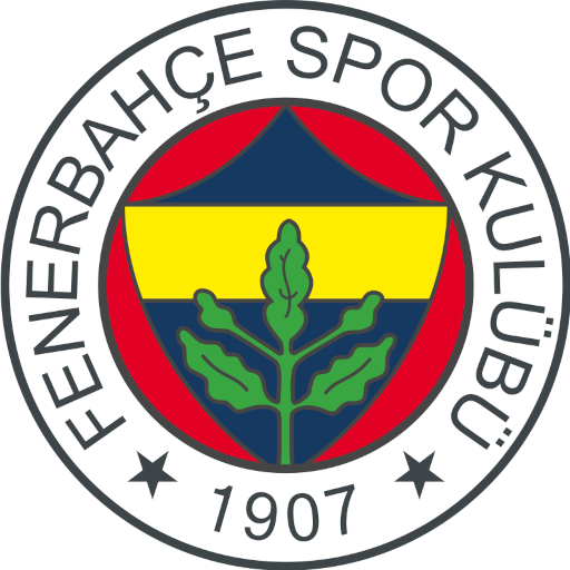 Fenerbahçe Women artwork 1
