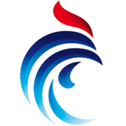 France Swimming badge