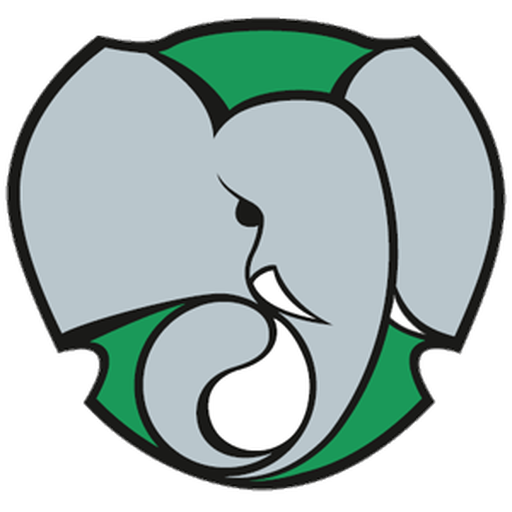 Elefantes de Cienfuegos artwork 1