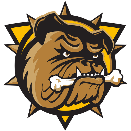 Hamilton Bulldogs artwork 1