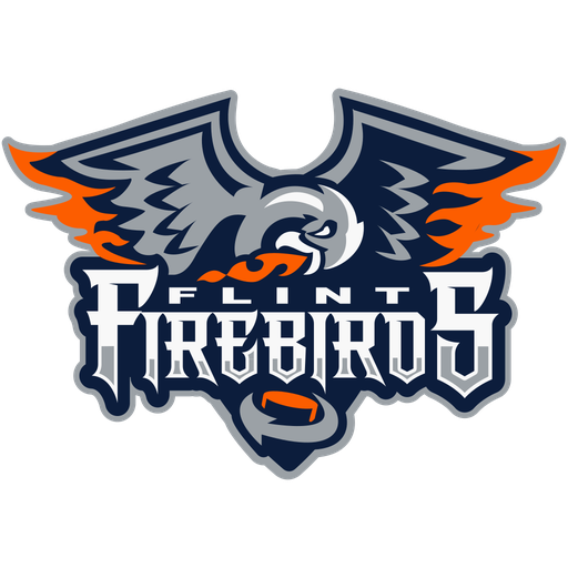 Flint Firebirds artwork 1