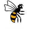 Wasps Women