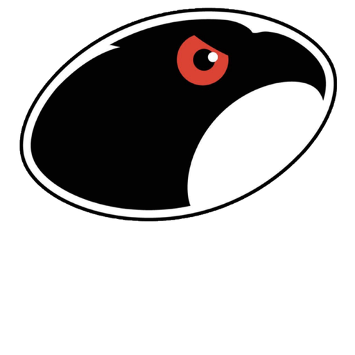 Glasgow Hawks artwork 1