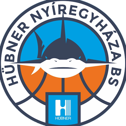 Nyíregyháza Blue Sharks artwork 1