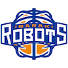 Ibaraki Robots