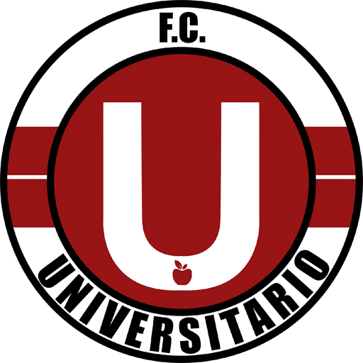 Universitario de Vinto artwork 1
