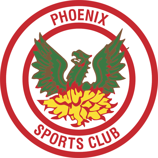 Phoenix Sports artwork 1