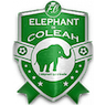 Eléphant Coléah