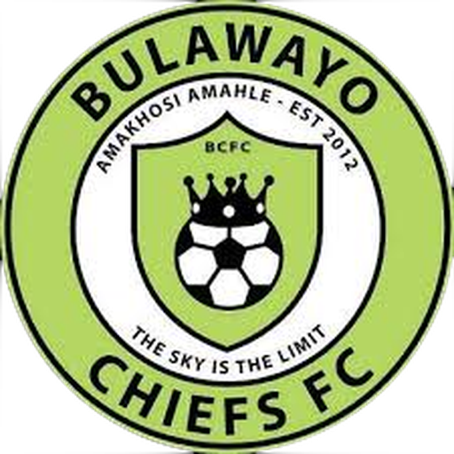 Bulawayo Chiefs artwork 1